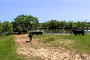 17921 Tx-16 - Photo 28