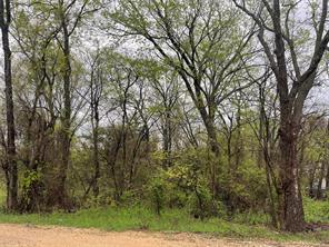 246 4th Street - Photo 2