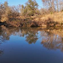 1671 County Road 3838 - Photo 10