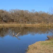 1671 County Road 3838 - Photo 4