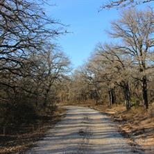 1671 County Road 3838 - Photo 7