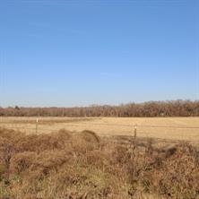 1671 County Road 3838 - Photo 9