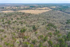 TBD County Road 4917 - Photo 10