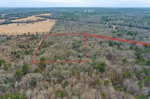 TBD County Road 4917 - Photo 11