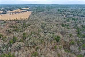TBD County Road 4917 - Photo 12