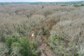 TBD County Road 4917 - Photo 13