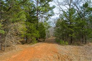 TBD County Road 4917 - Photo 2