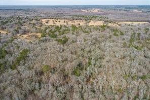 TBD County Road 4917 - Photo 4
