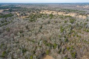 TBD County Road 4917 - Photo 5