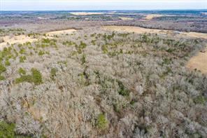 TBD County Road 4917 - Photo 9