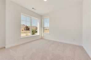 3542 Coneflower Trail - Photo 19