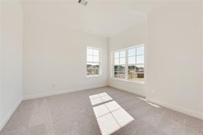 3542 Coneflower Trail - Photo 24