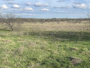 1594 County Road 1886 - Photo 3