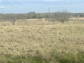 1594 County Road 1886 - Photo 4