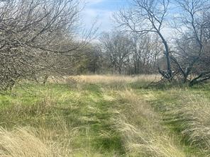 1594 County Road 1886 - Photo 5