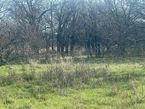 1594 County Road 1886 - Photo 7