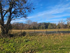 Lot 2 Joe Ramsey Boulevard - Photo 10