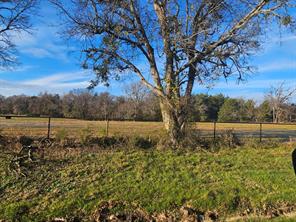 Lot 2 Joe Ramsey Boulevard - Photo 2