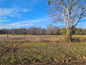 Lot 2 Joe Ramsey Boulevard - Photo 3