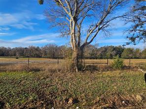 Lot 2 Joe Ramsey Boulevard - Photo 4
