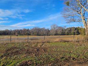 Lot 2 Joe Ramsey Boulevard - Photo 8