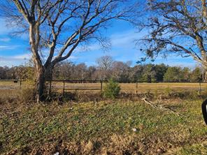 Lot 2 Joe Ramsey Boulevard - Photo 9