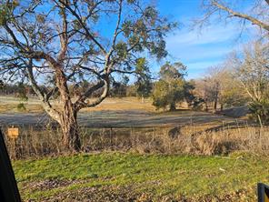 Lot 3 Joe Ramsey Boulevard - Photo 5