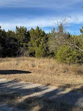 44125 Cedar Hill Drive - Photo 10