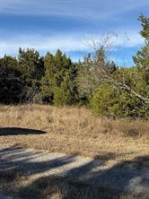 44125 Cedar Hill Drive - Photo 12