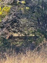 44125 Cedar Hill Drive - Photo 4