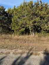 44125 Cedar Hill Drive - Photo 6