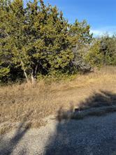 44125 Cedar Hill Drive - Photo 8