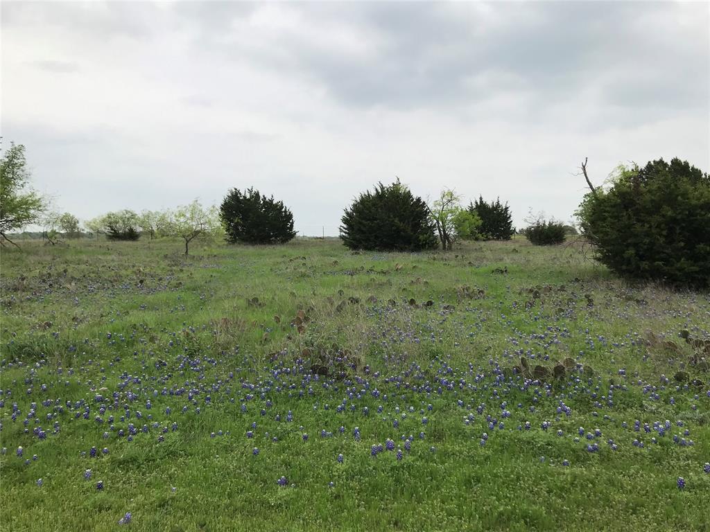 34020 Stonewood Drive - Photo 1