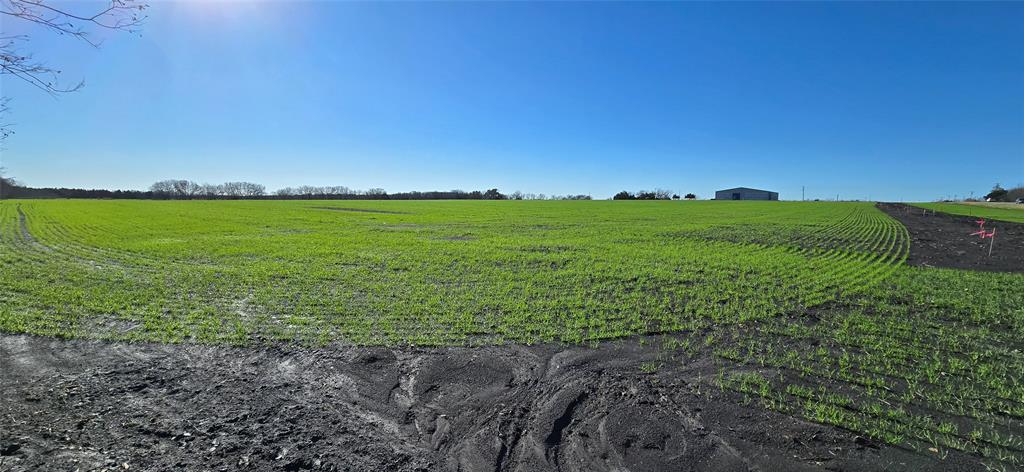 197 Acres FM RD 548 - Photo 10