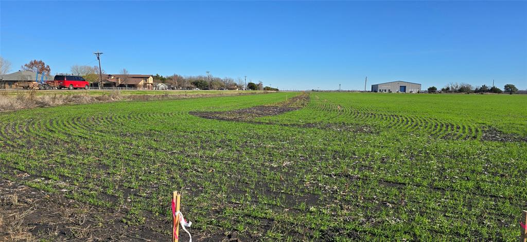 197 Acres FM RD 548 - Photo 11