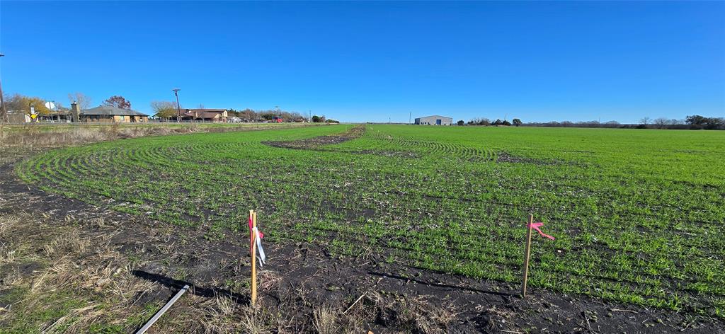 197 Acres FM RD 548 - Photo 12
