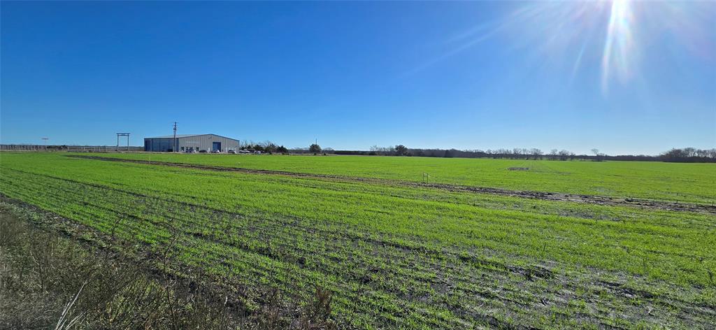 197 Acres FM RD 548 - Photo 3