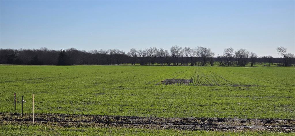 197 Acres FM RD 548 - Photo 4