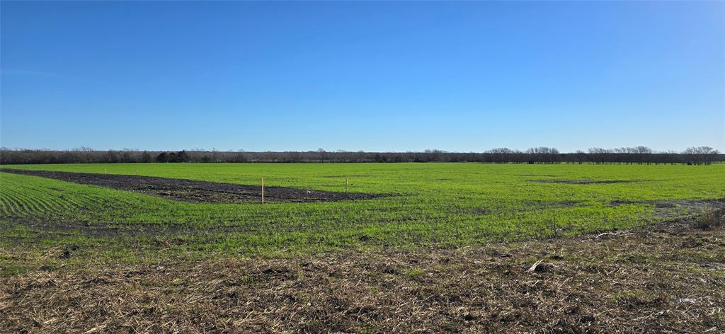 197 Acres FM RD 548 - Photo 5