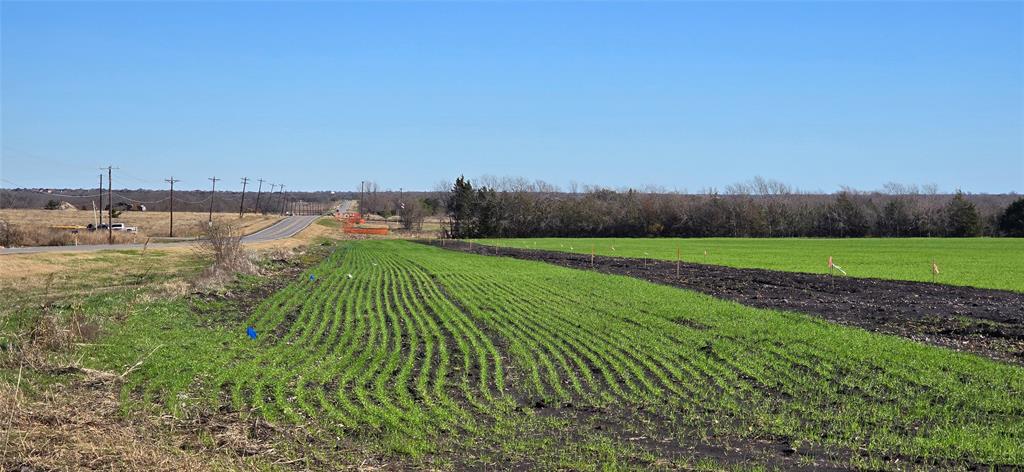 197 Acres FM RD 548 - Photo 6