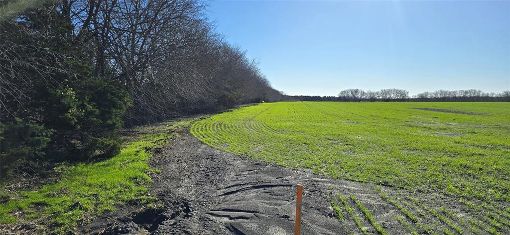 197 Acres FM RD 548 - Photo 8