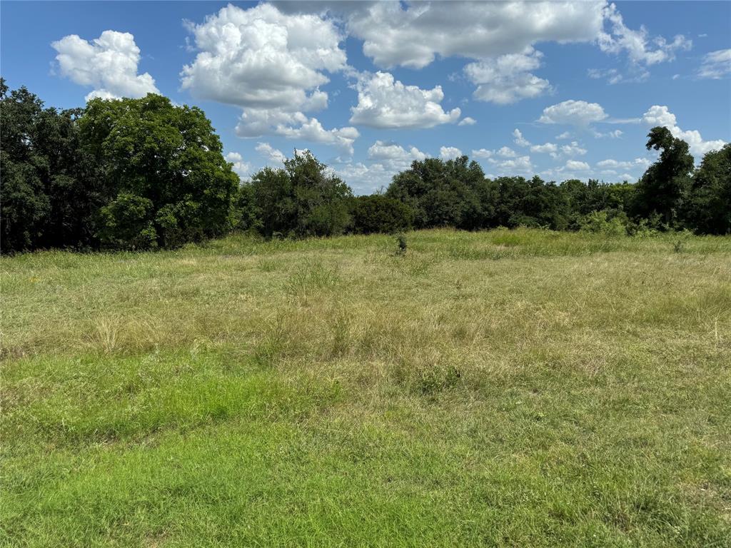 19078 White Bluff Drive - Photo 1