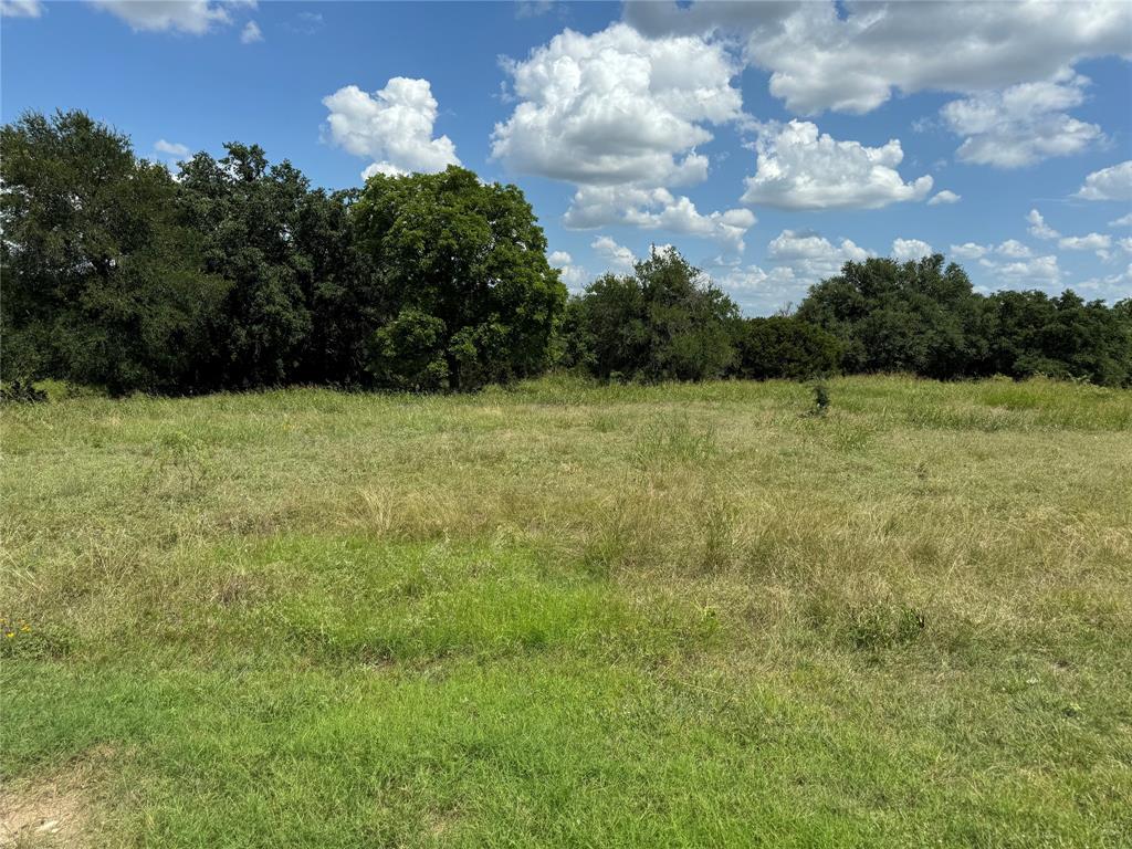 19078 White Bluff Drive - Photo 2
