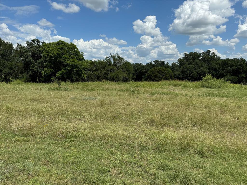 19078 White Bluff Drive - Photo 3