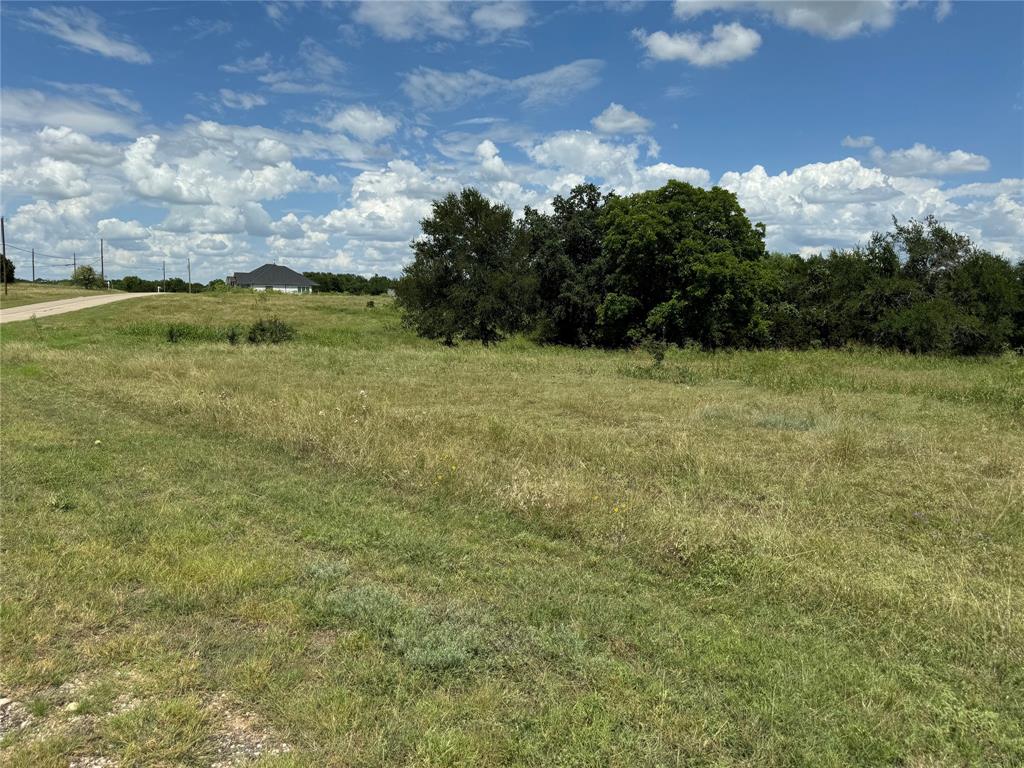 19078 White Bluff Drive - Photo 4