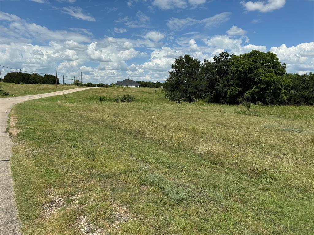 19078 White Bluff Drive - Photo 5