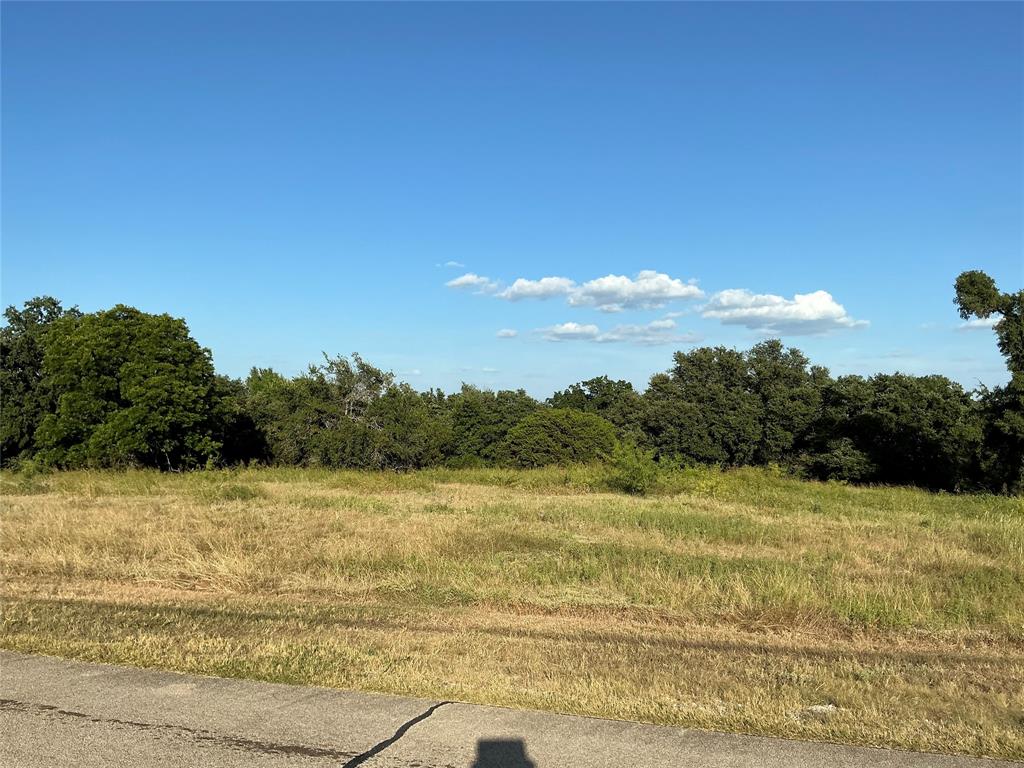 19078 White Bluff Drive - Photo 6