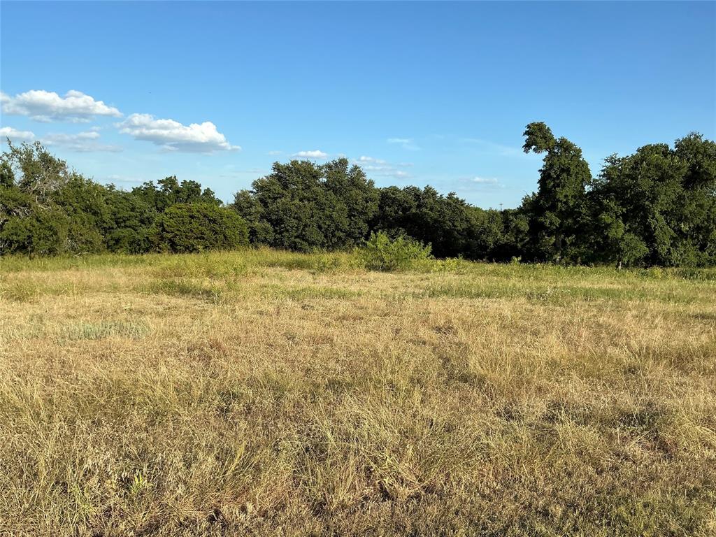 19078 White Bluff Drive - Photo 7