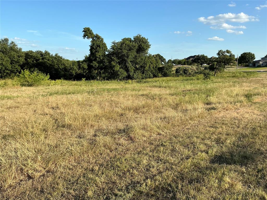 19078 White Bluff Drive - Photo 8