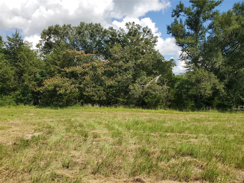 LOT 8 RS County Road 1140 - Photo 1